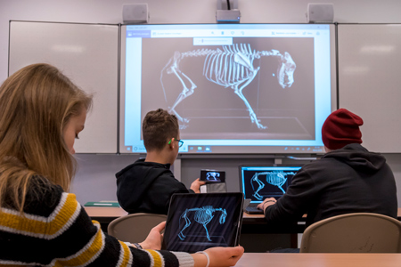 SK smartboards 02WEB