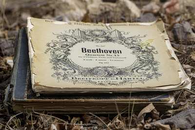 Beethoven pixabay Web