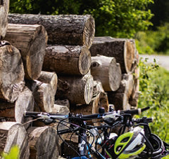 E Bike TourWeb