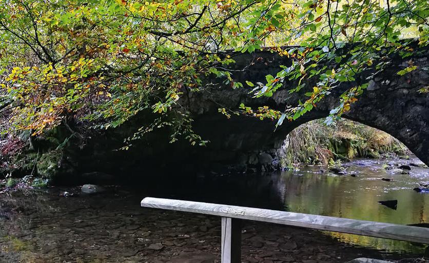 Indian Summer Elpe Tal
