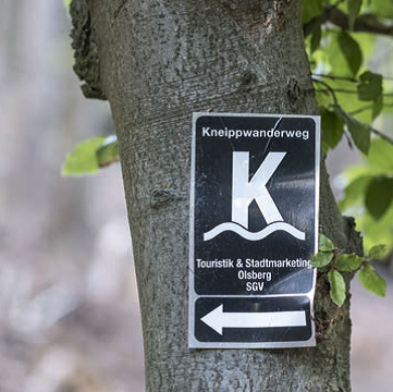 KneippwegWeb