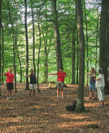 Waldbaden QigongWeb