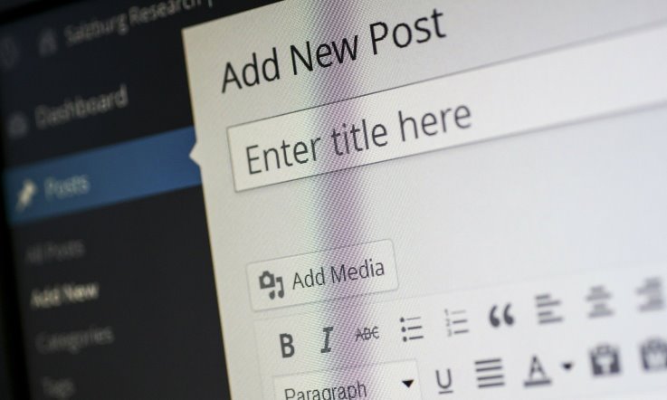 wordpress 737x442px