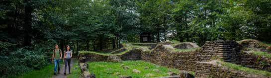 Borberg1