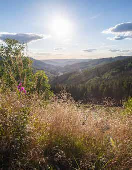Herbstl Kräuterwanderung