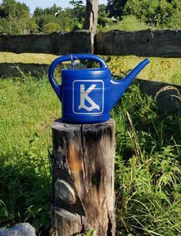 Kneipp