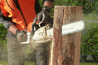 Motorsaege wood 1728019 1920Web