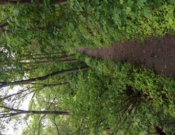 Seele und Natur