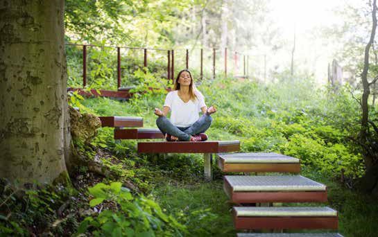 Wald Yoga meets Kneipp