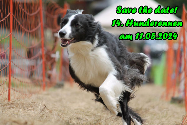 P Hunderennen2024