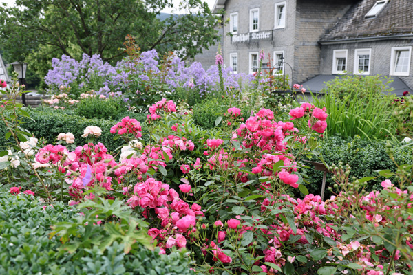 RomantikgartenAshsn2