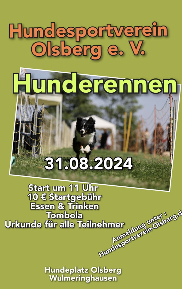 P Hunderennen24