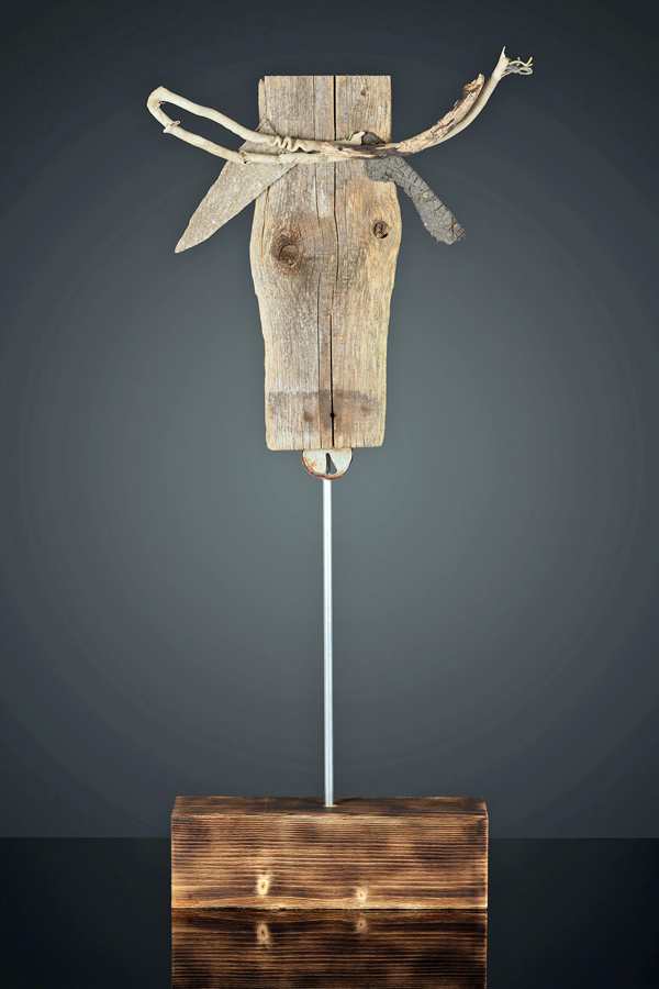 Der Stier2