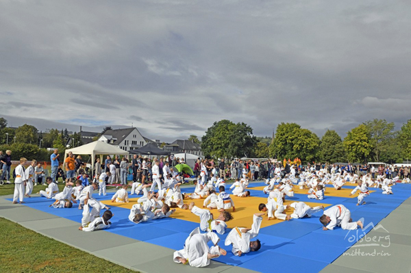 judo open25 2