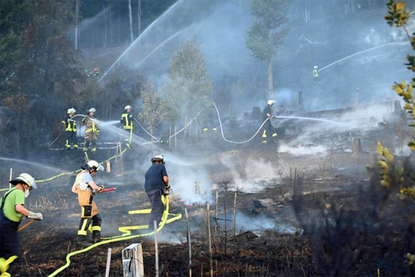 Waldbrand26