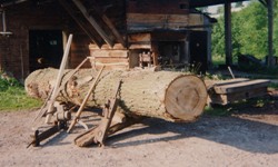 Vorbereitungen zum Sägen