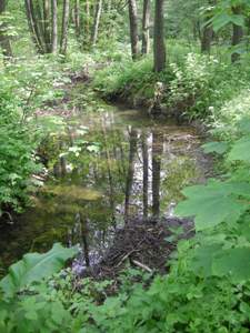 Hammergraben