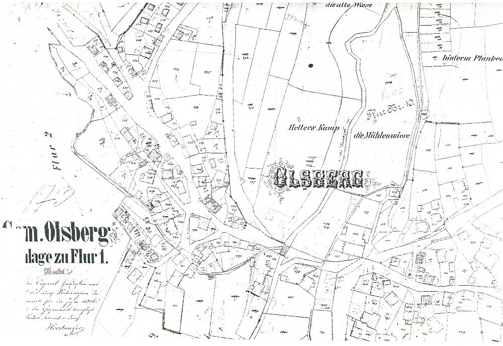 olsberg ort berg 3