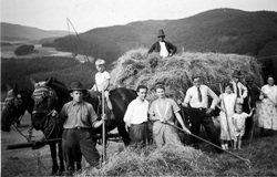 Heuernte mit Karl Padberg