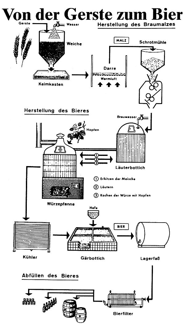 v_d_gerste_z_bier.jpg