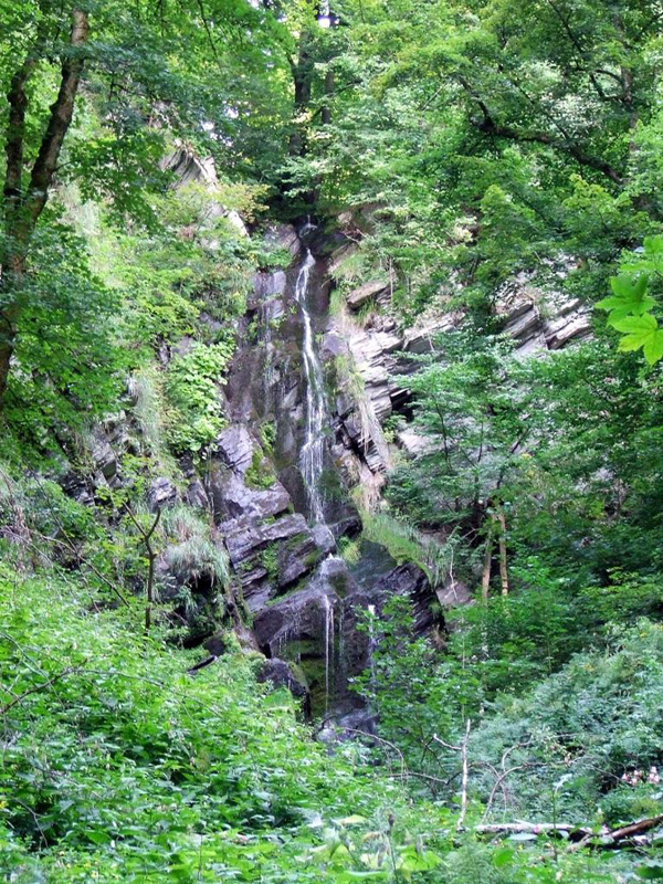 plaesterlegge 2